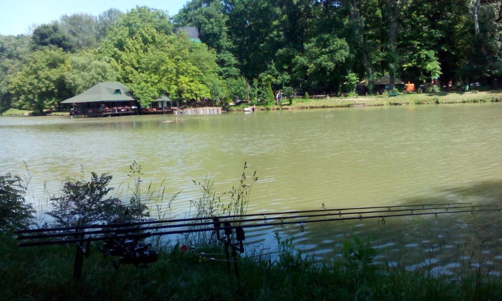 Monia Dream Apartment - Belgrade Lake & Fair Bagian luar foto