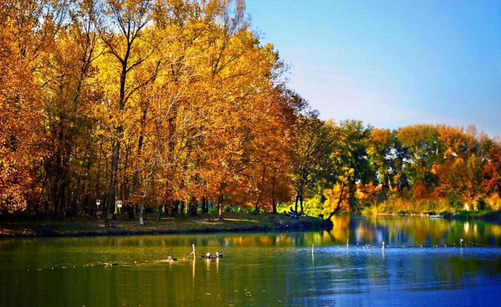 Monia Dream Apartment - Belgrade Lake & Fair Bagian luar foto